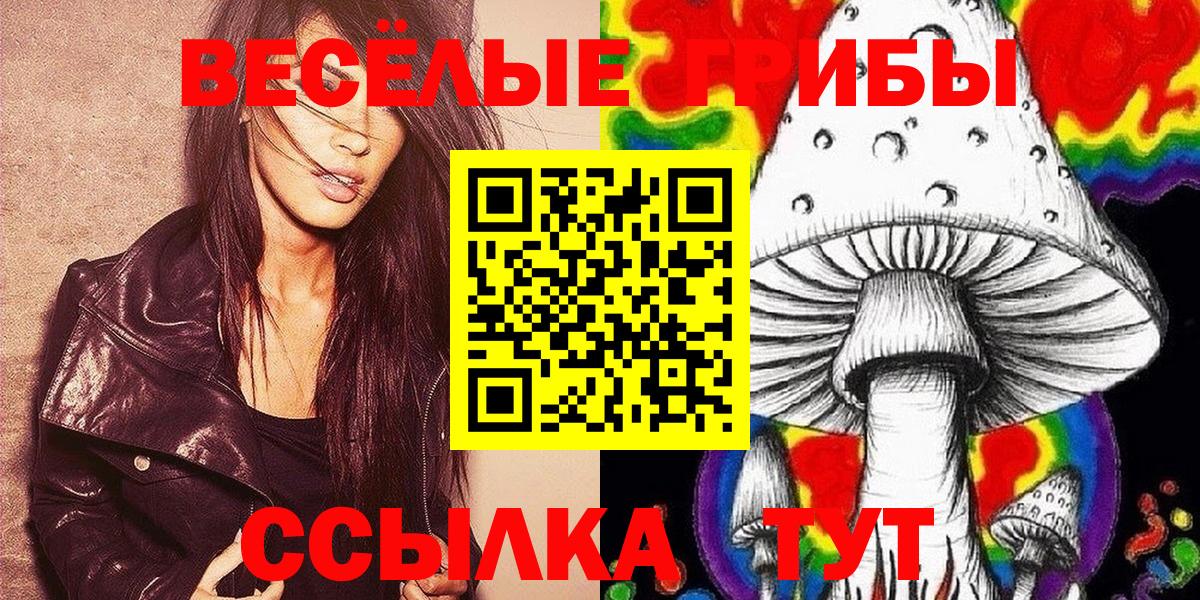 Псилоцибиновые грибы мицелий Черногорск