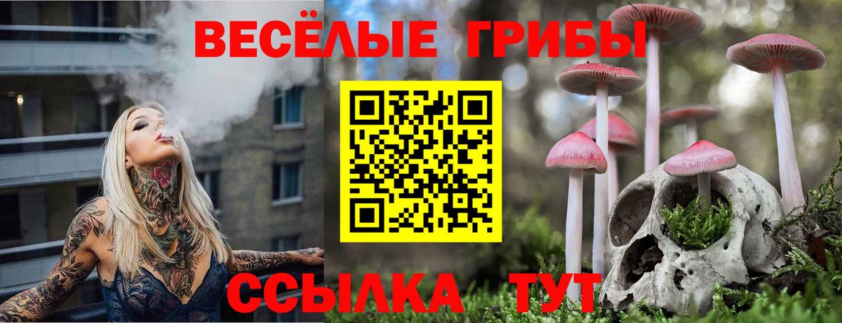 Псилоцибиновые грибы GOLDEN TEACHER  Вход с VPN  как найти наркотики  Черногорск 